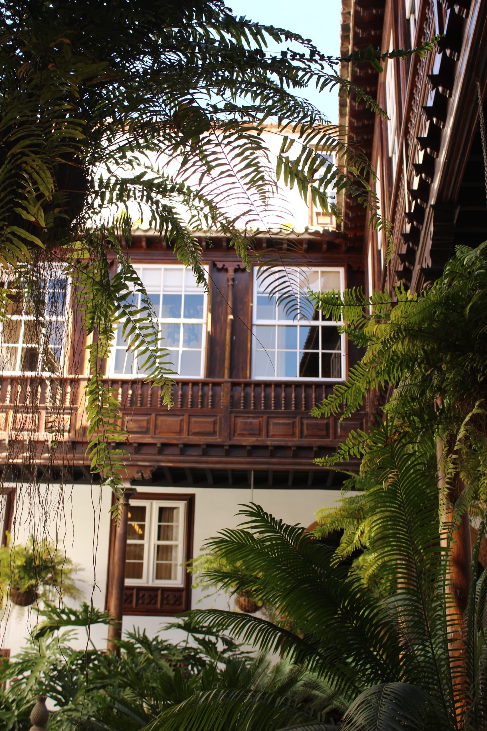 Senderismo en Tenerife: La Laguna y Anaga