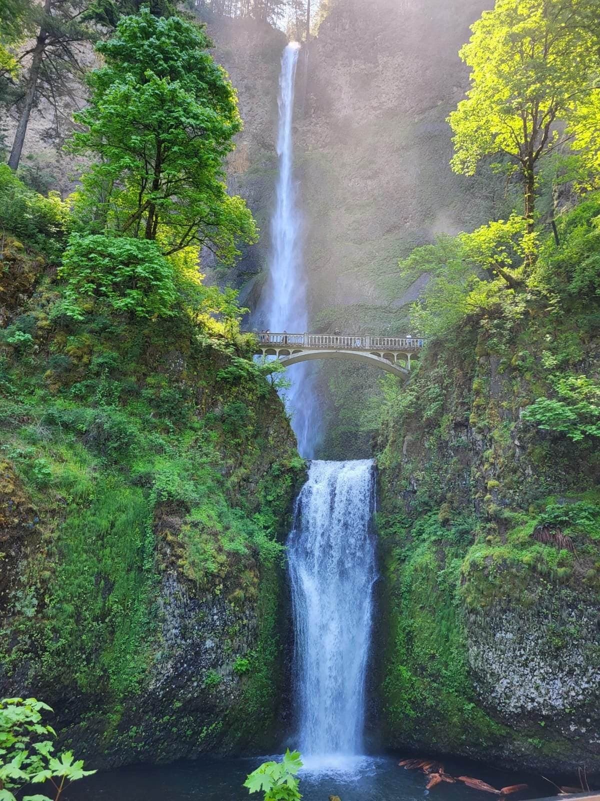 Wonderful Waterfalls and Columbia River Gorge Tour