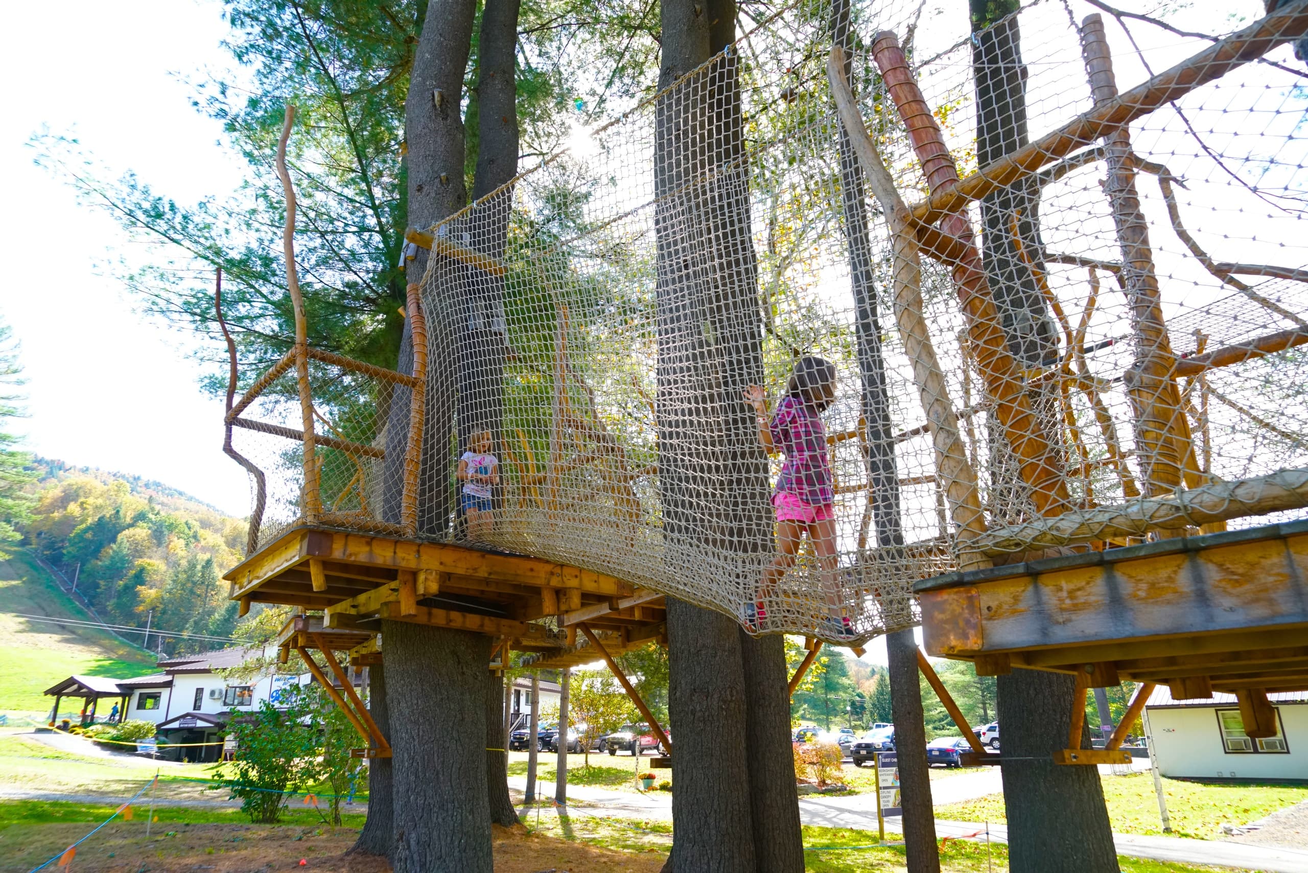 Tree House Trail