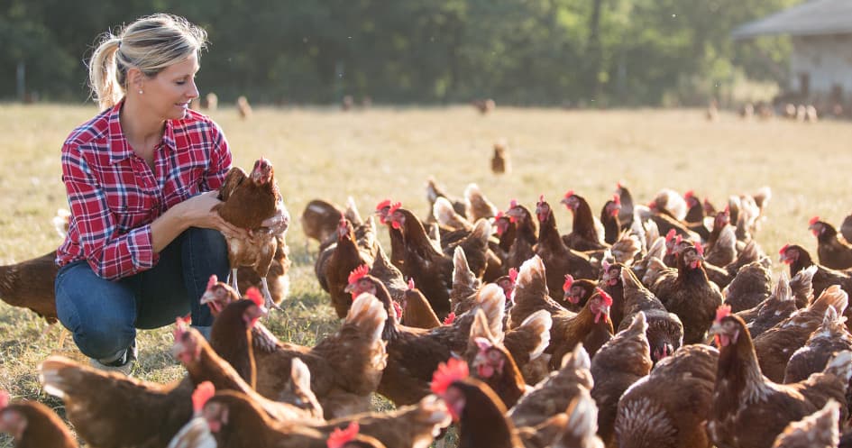 Autochthonous Breeds Farm Experience