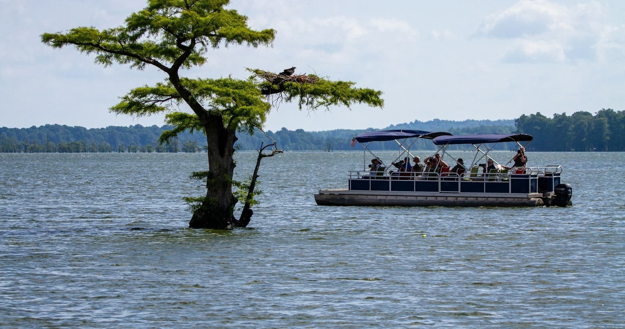 20' Pontoon Boat Rental