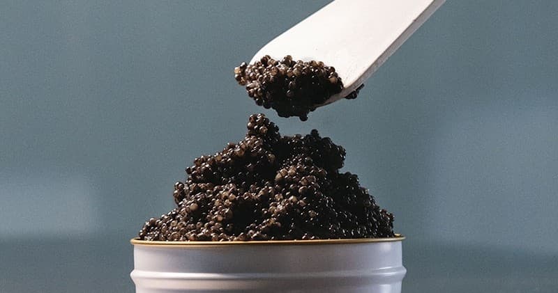 Caviar Tasting & Guided Tour