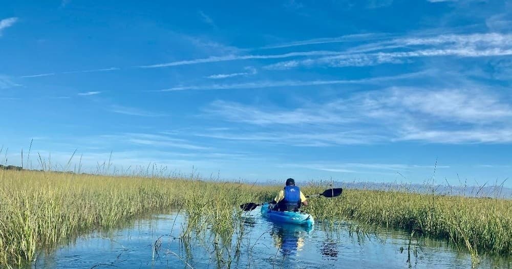 Little Tybee Island / Tybee Island Ebb & Flow Tour