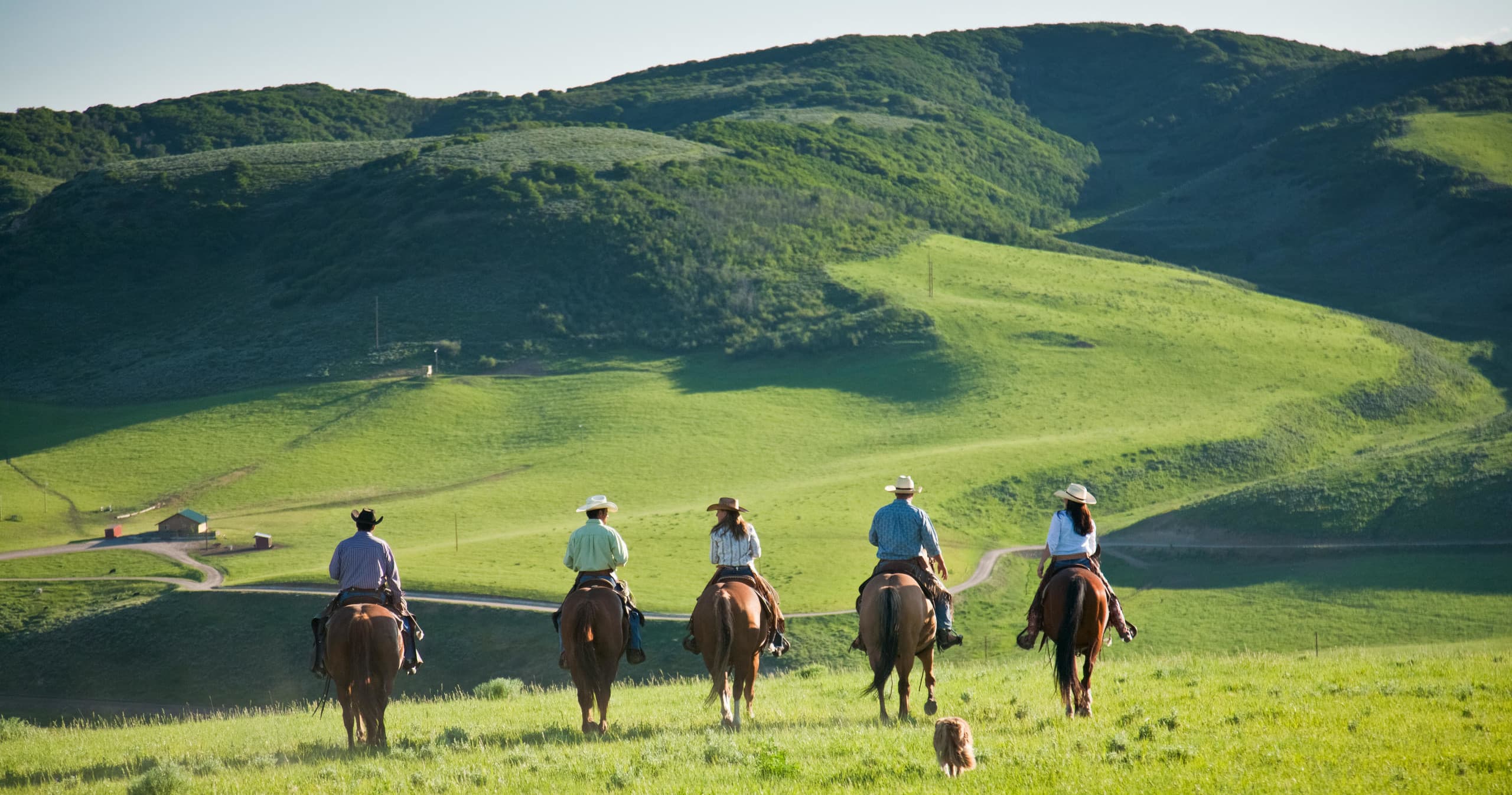 1-Hour Photo Opportunity Horseback Ride