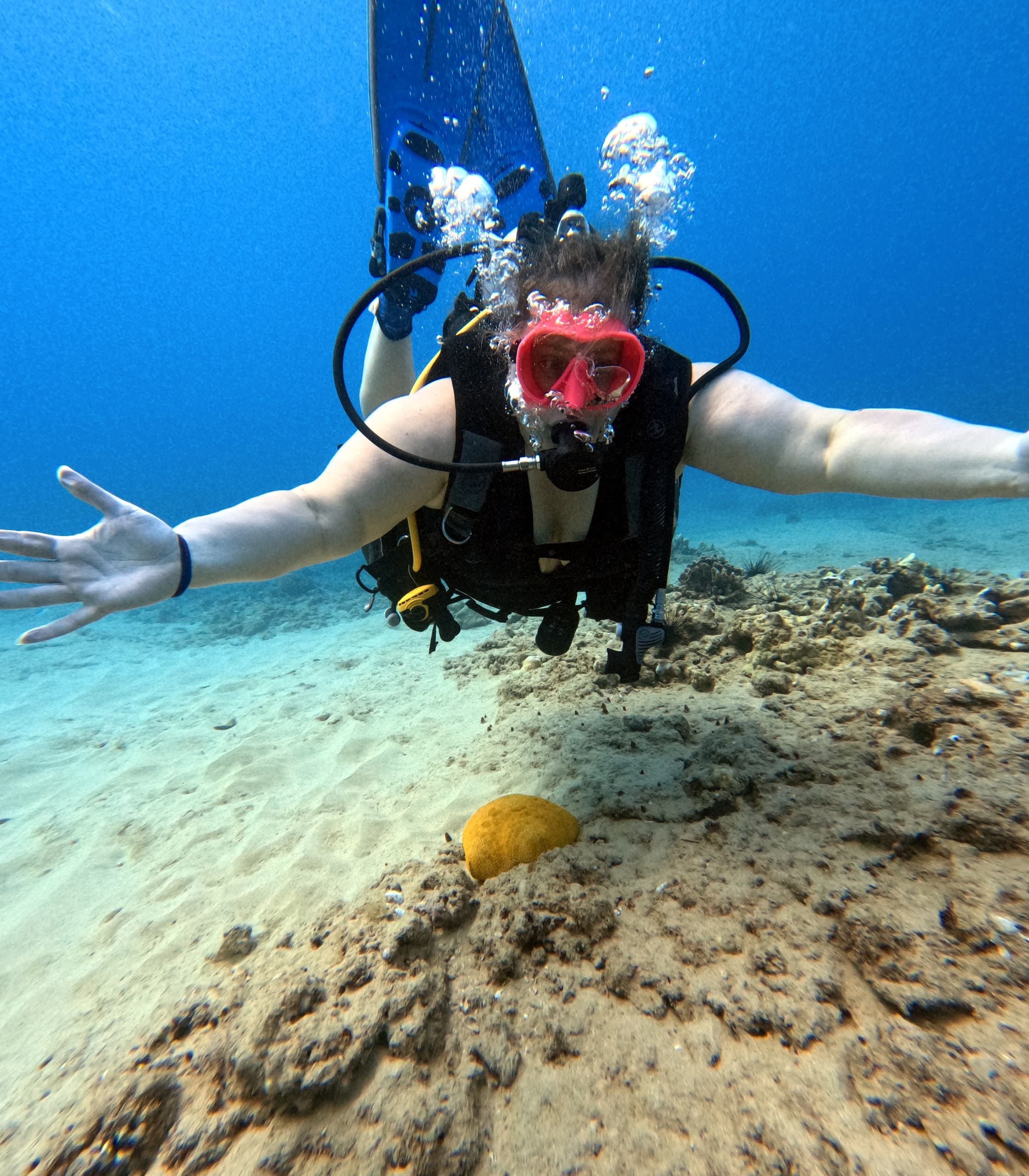 1st Time Dive Adventure