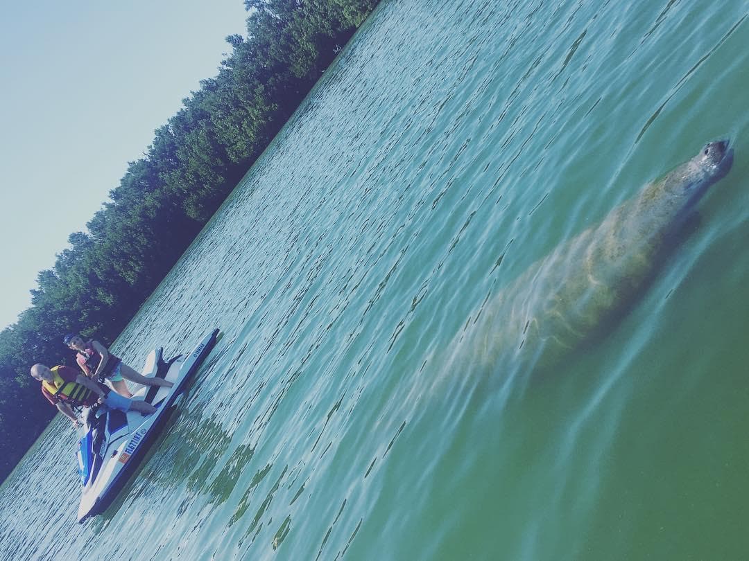 Guided Waverunner Tour