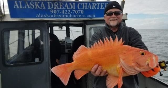 Monster Rock Fish