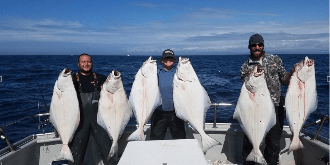 Ninilchik Halibut Fishing - Expedition