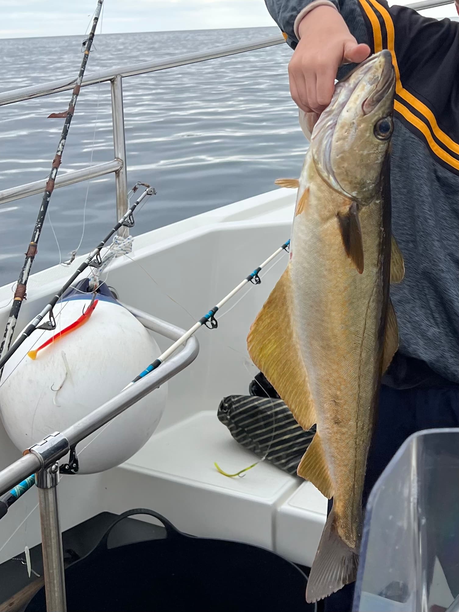 Private Sea Fishing Trip