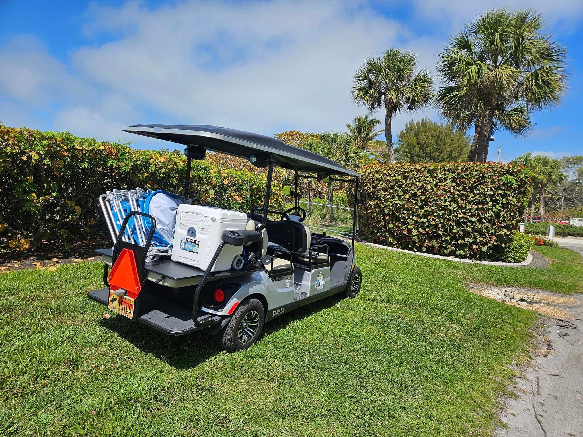 Six Seat Gas Golf Cart