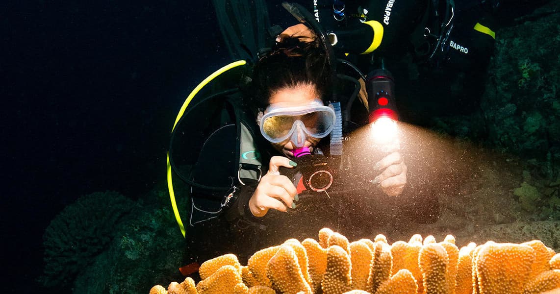 PADI Night Diver