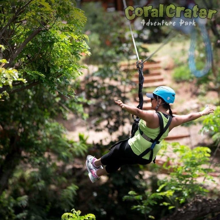 Six Zipline Adventure With Waikiki Transportation