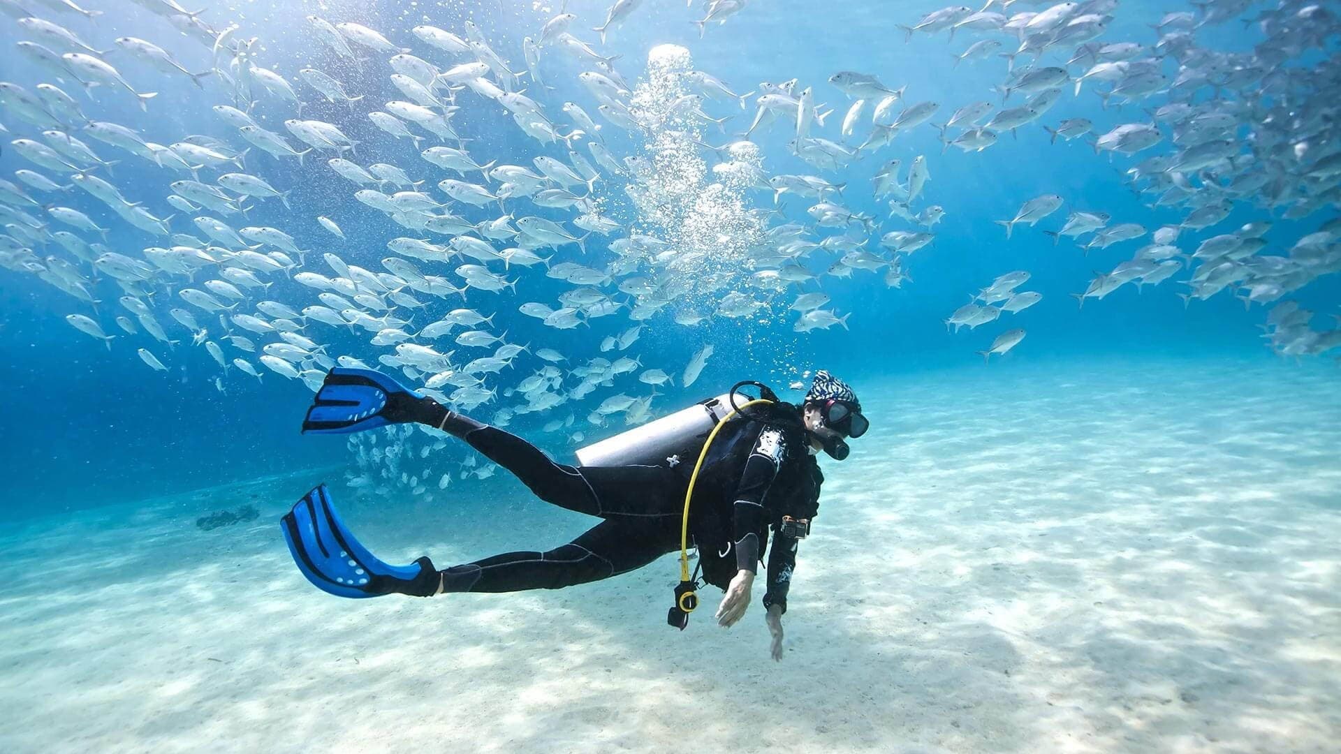 SCUBA Skills Update
