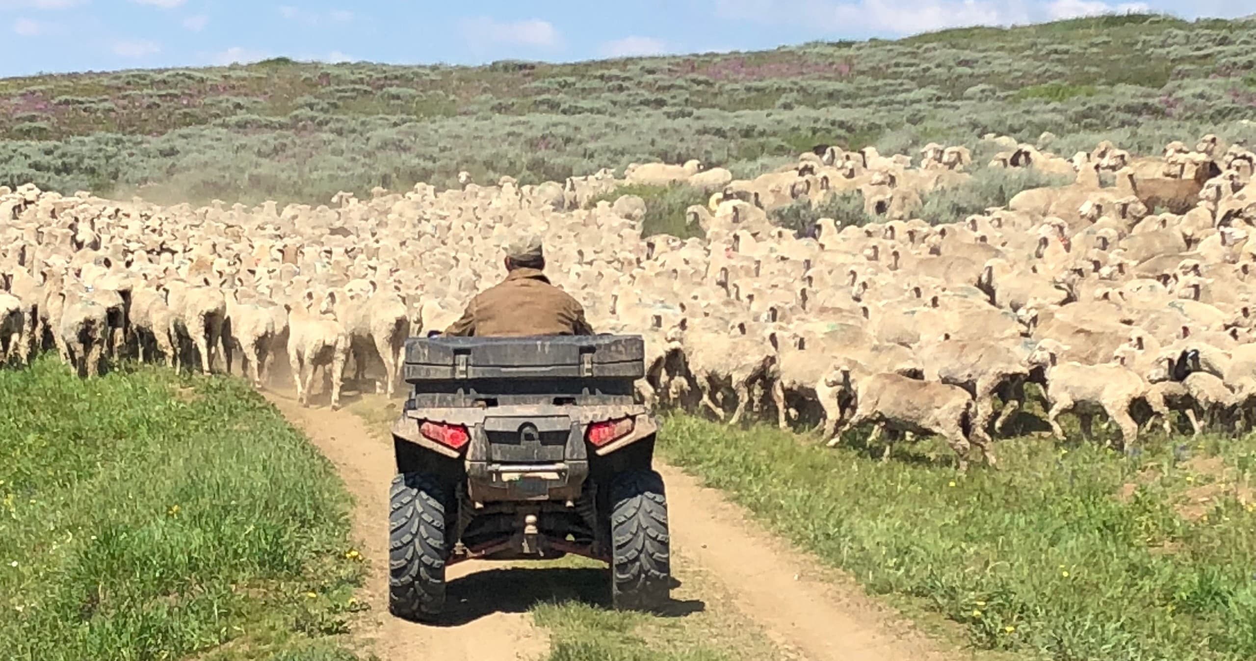 SXS Seven Day Rental