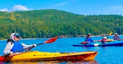Lunch In The Wild Kayak Tour