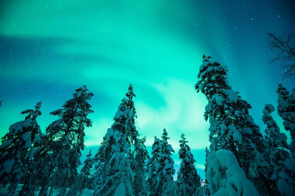 Aurora Hunting with Horse Carriage