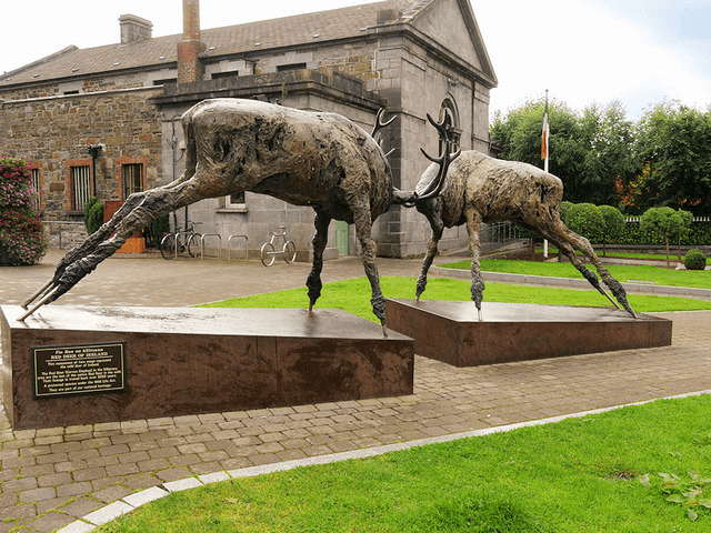 Highlights of Killarney