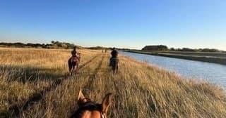 Horse Trail Ride