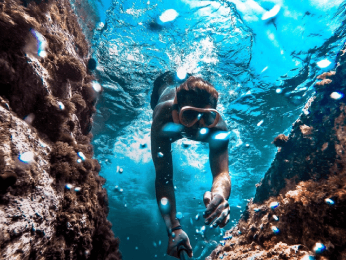 Blue Dream swimming