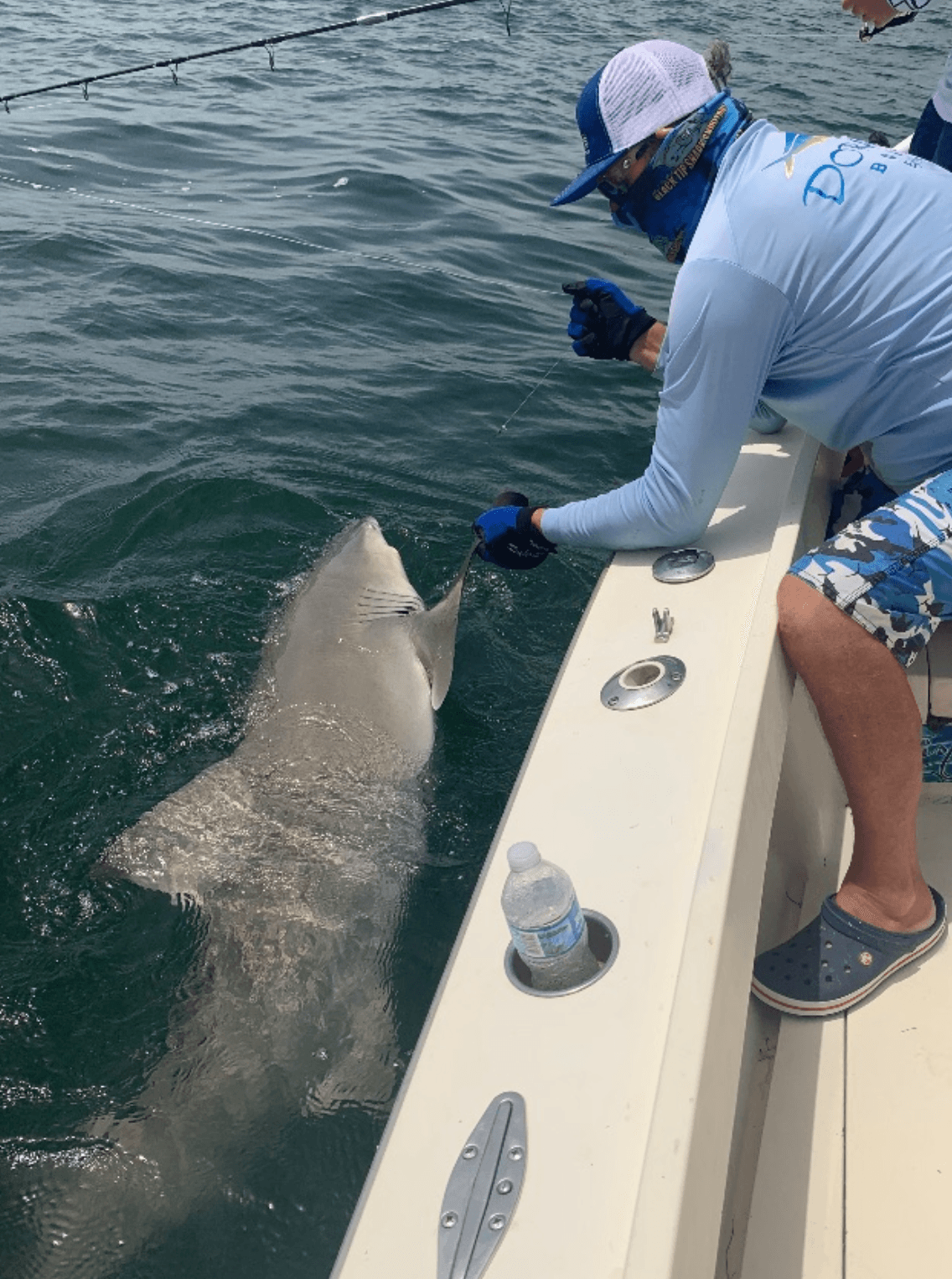 Six Hour Tampa Shark Fishing