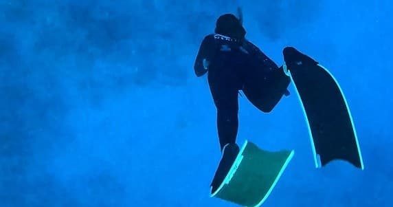 Freediving Charters