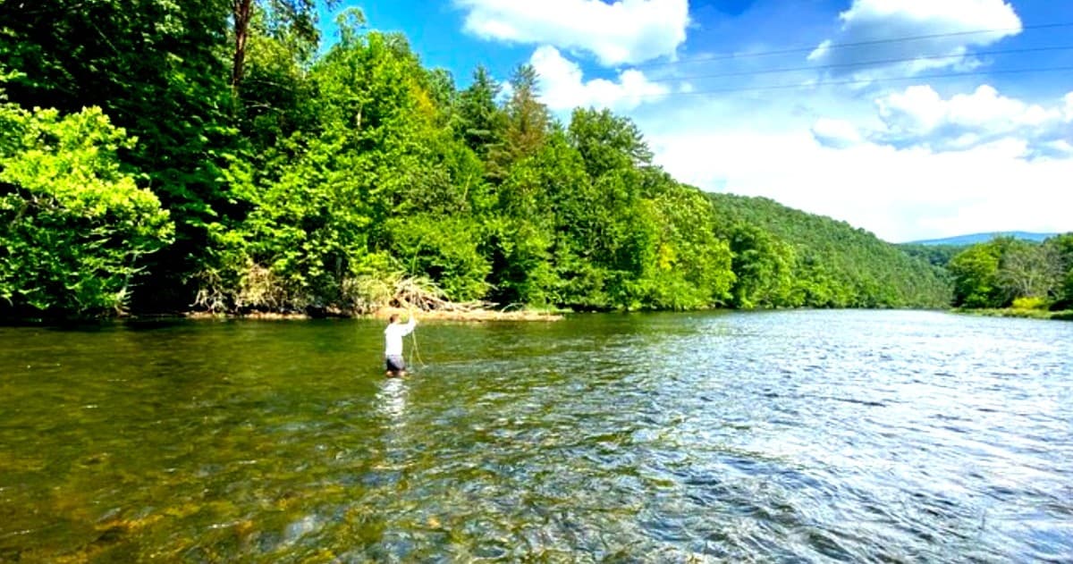 South Holston River Wade
