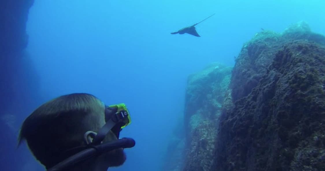Snorkeling