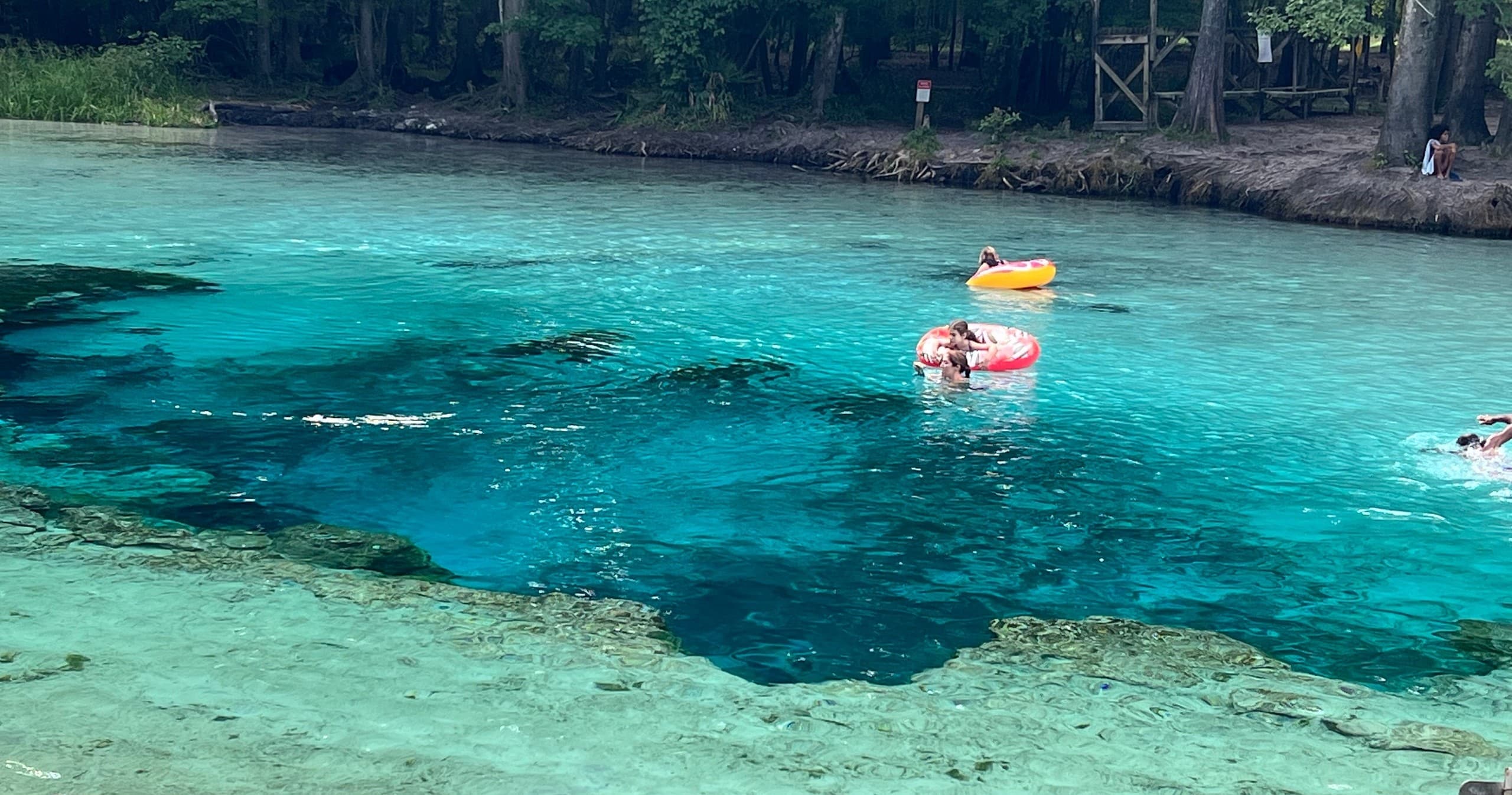 Blue Springs Hopper
