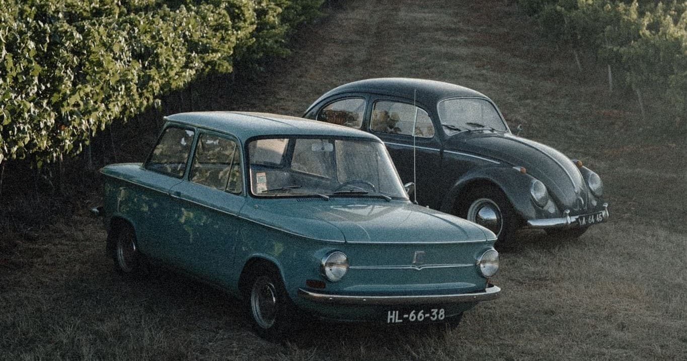 Wine Tour with Classic Car