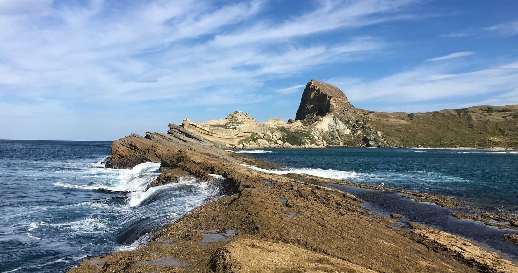 Wine, Food and Wairarapa Coast Overnight Tour