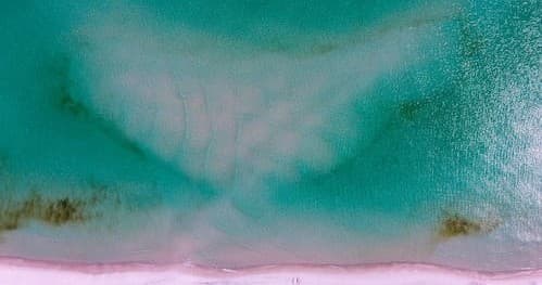 Sandbar Experience