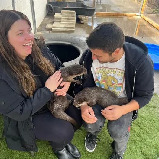 Otter Encounter