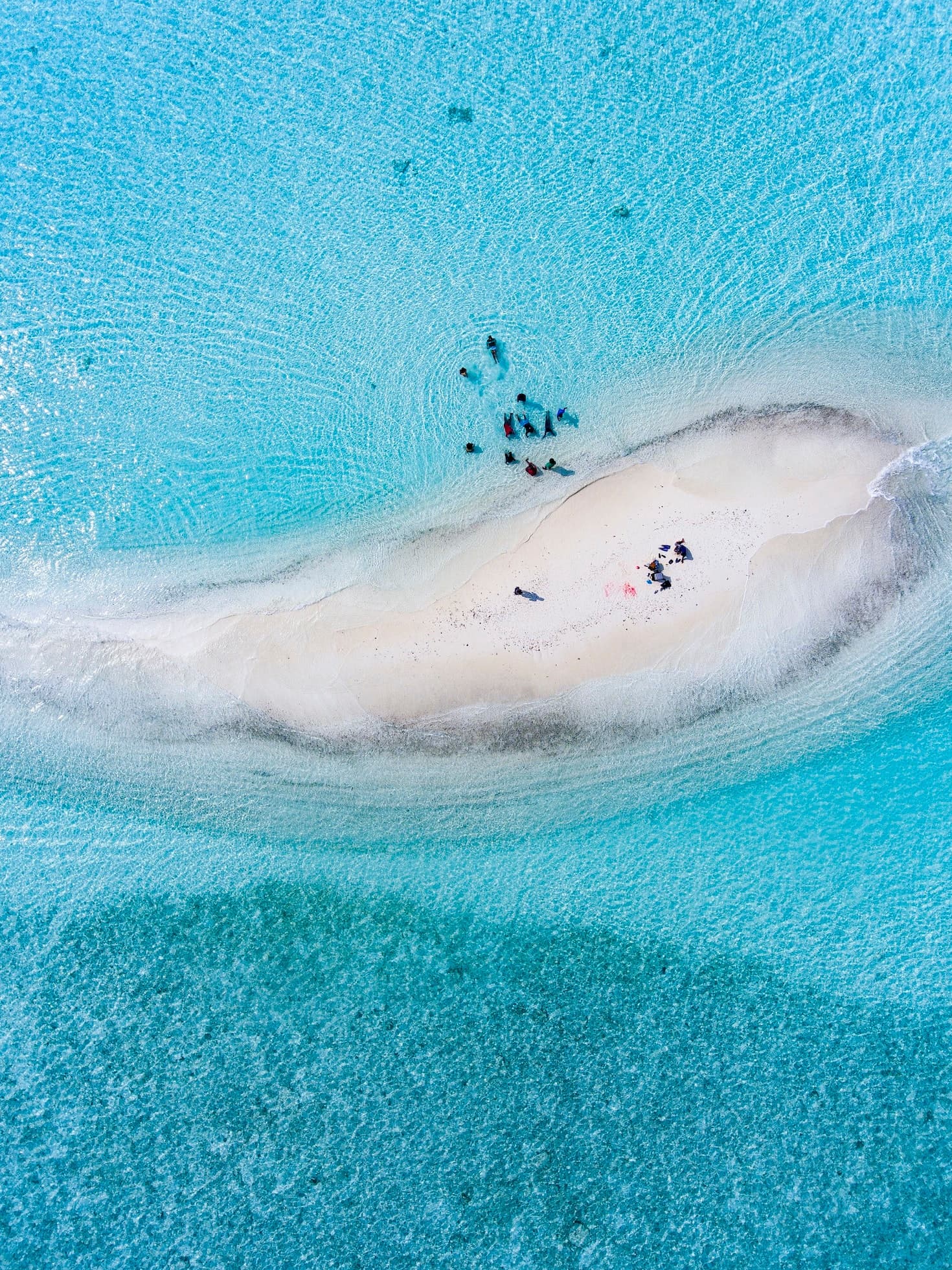 Sandbar Cruise