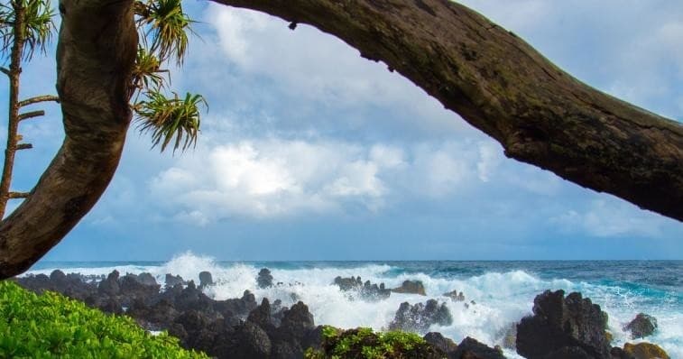 Ultimate Hana Full-Day Adventure Tour