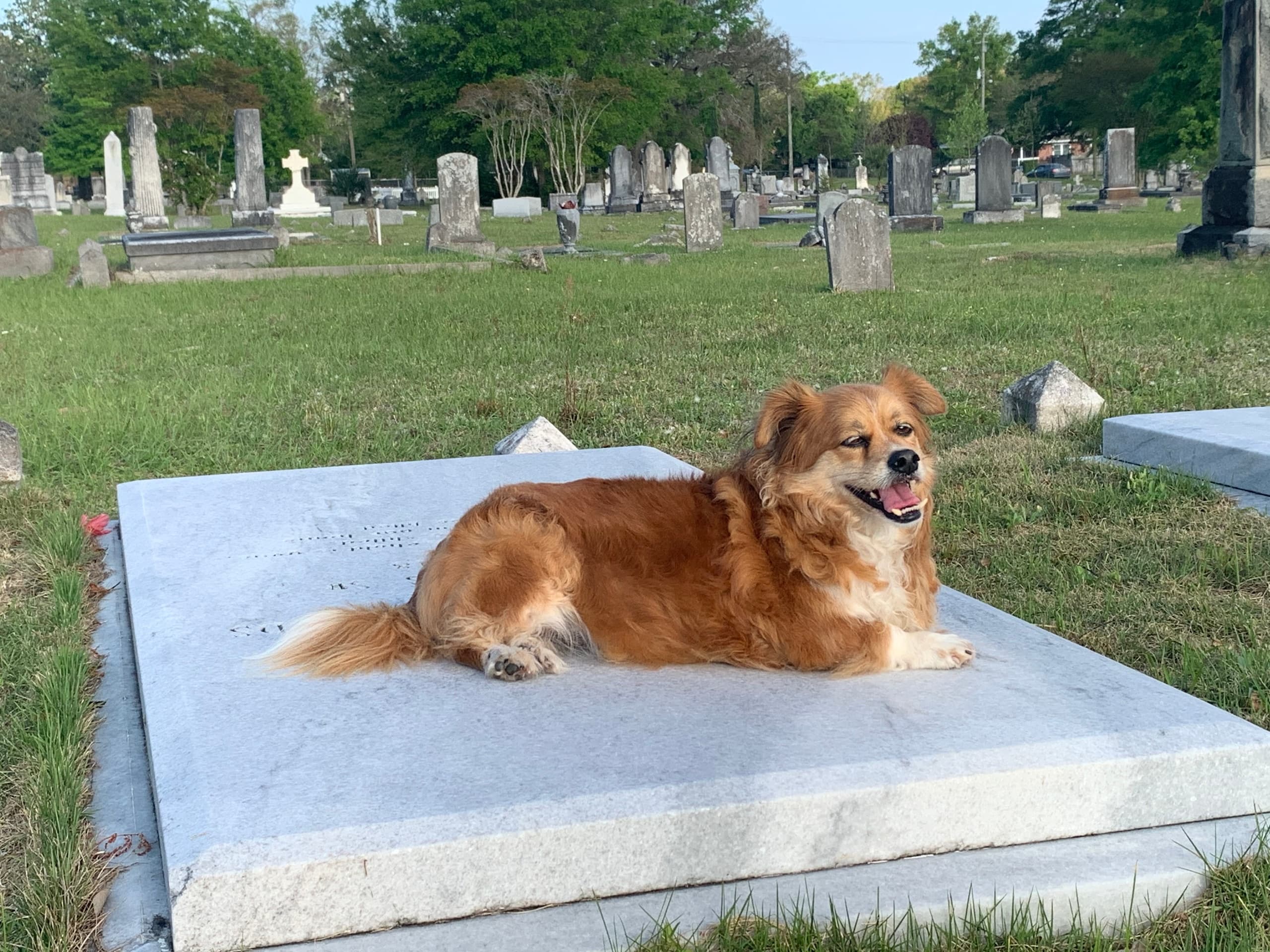 Ghosts and Graveyards
