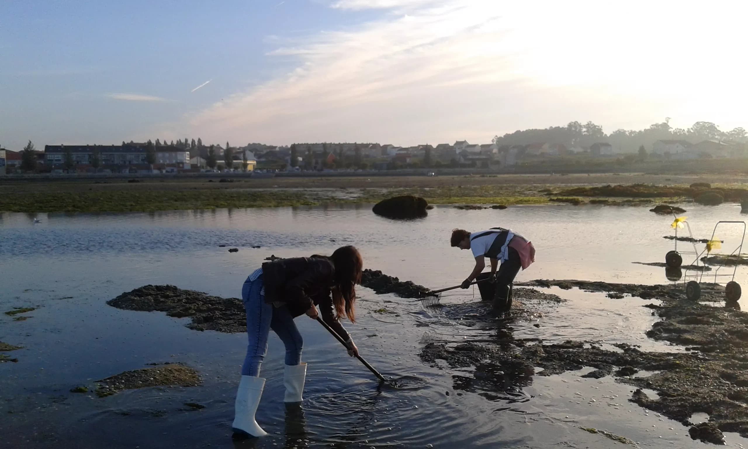 Taller marisqueo en Cambados
