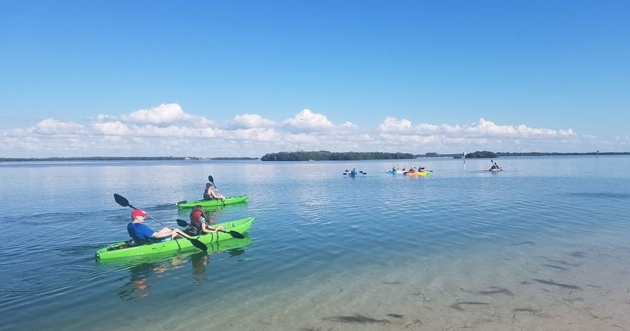 St. Petersburg - Guided Kayak Tour of Beautiful Shell Key