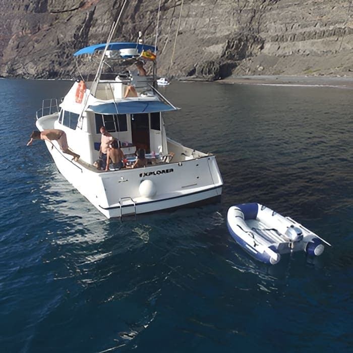 Avistamiento de Delfines en Mogán - Keeper Uno