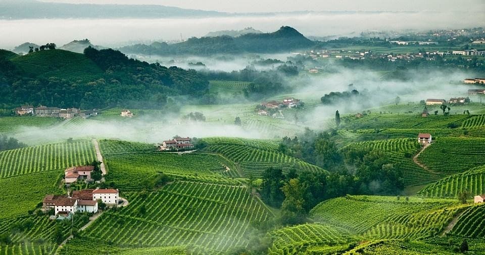 Franciacorta Wines & Bergamo from Milan - Private Tour