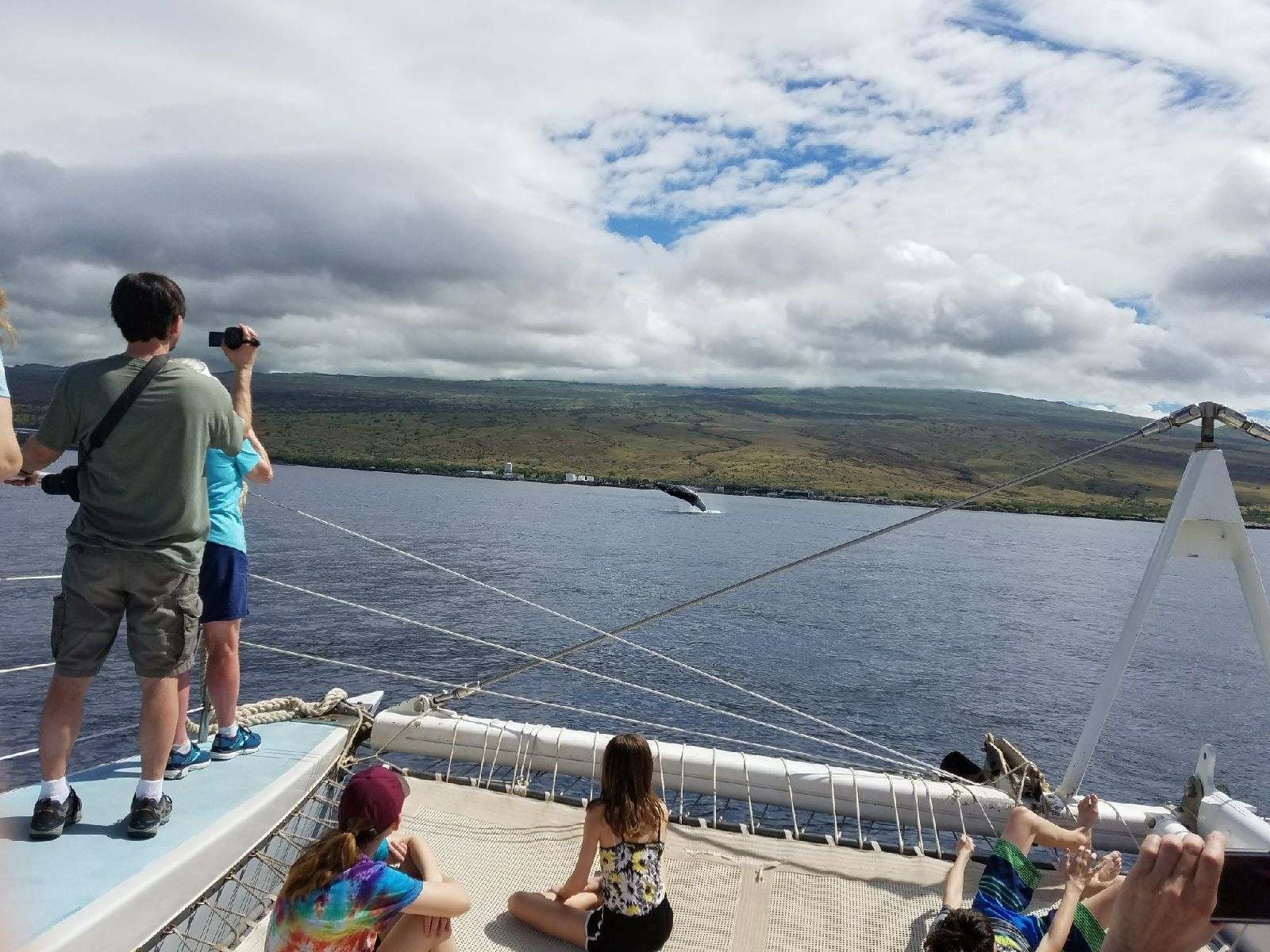 Late-Morning Whale Watch departing Kawaihae Harbor