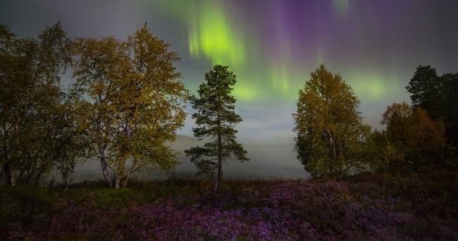 [F6] Aurora Hunting by Electric Fat Bike (2,5h)