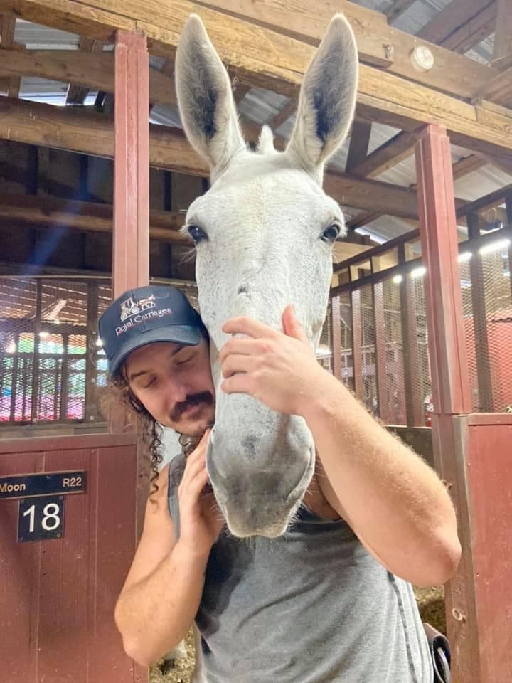 Mules in New Orleans Barn Tour