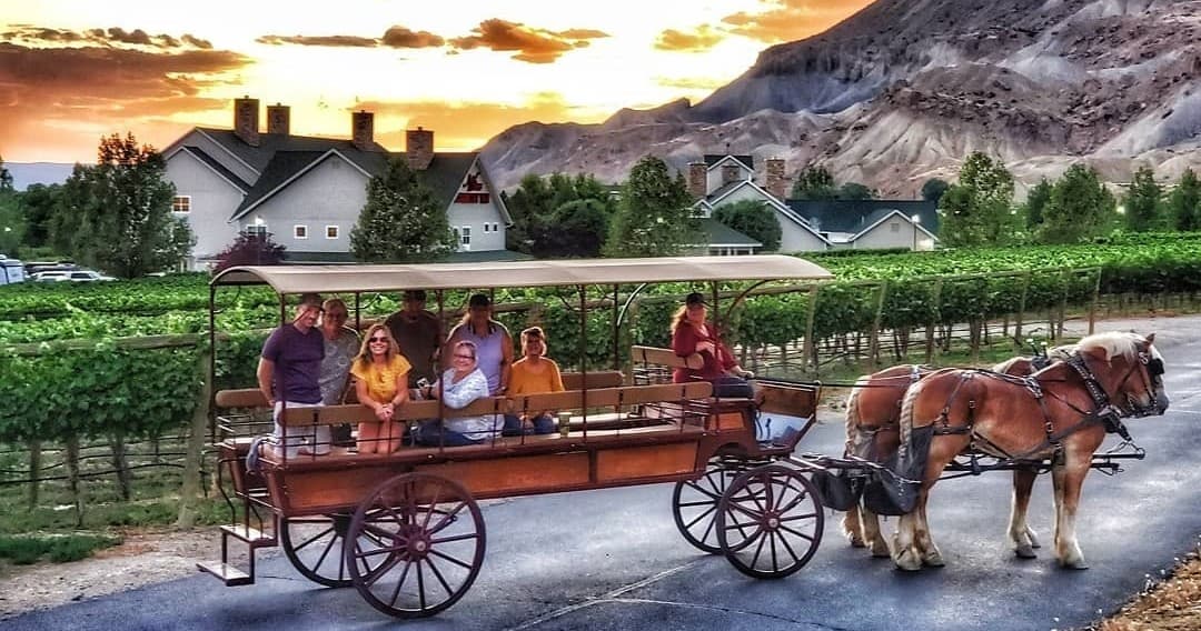 Horse-Drawn Sunset Tour