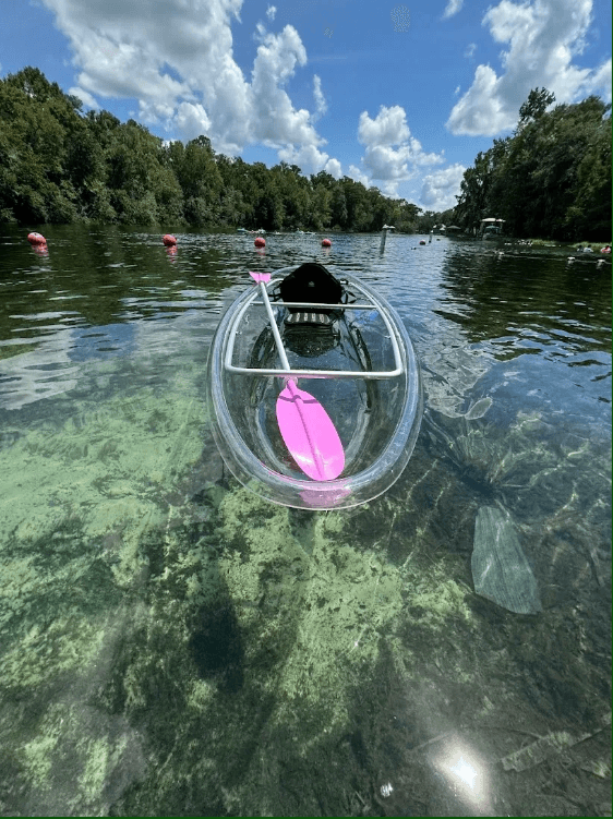 Ray Wayside Park 2 Hour Clear Kayak Paddleboard Rentals