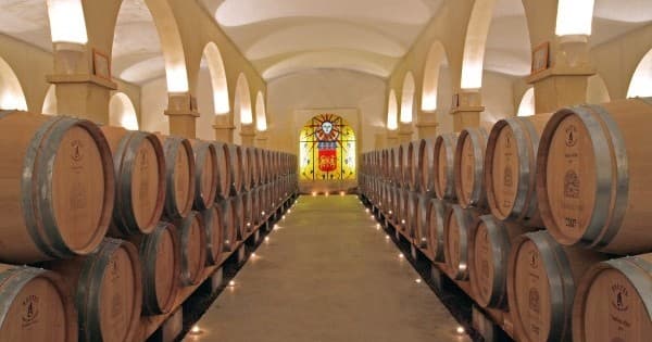 Provence Immersive Wine Experience