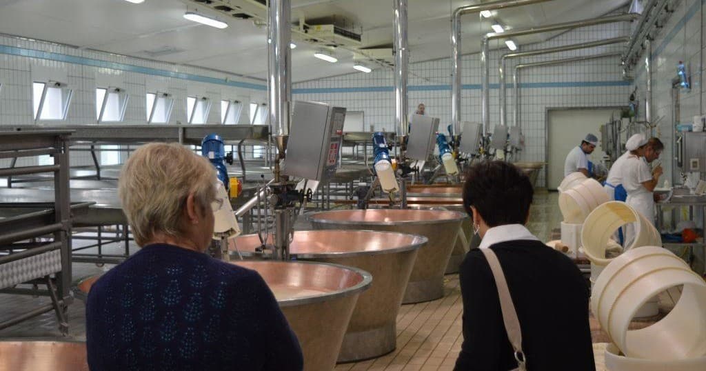 Parmigiano Reggiano Dairy Experience!