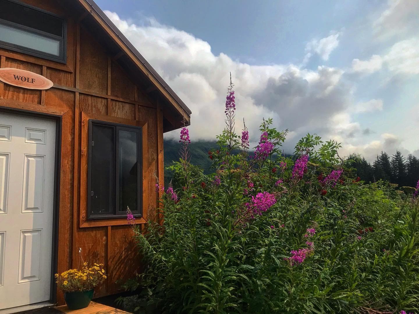 Wolf Cabin