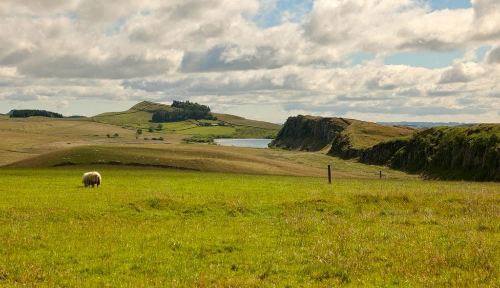 Hadrians Wall