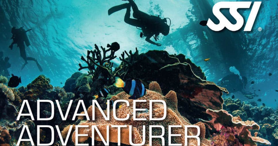 SSI - Advanced Adventurer