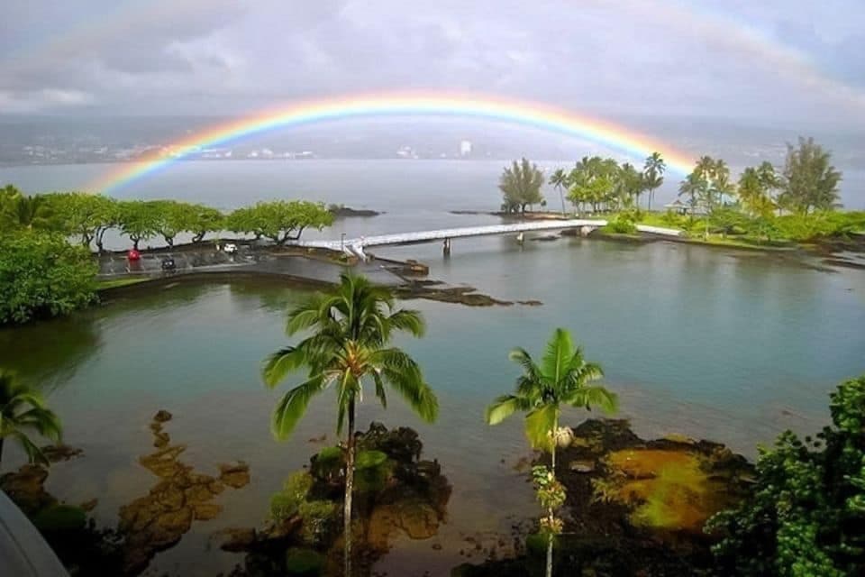 Hilo Bay & Coconut Island SUP Adventure